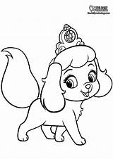 Puppy Coloring Pages  The Daily sketch template