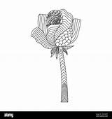 Flowers Rose zentangle coloring Page With Decorative Easy Sketches  sketch template