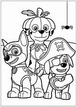 Paw Patrol Printable Coloring Page sketch template