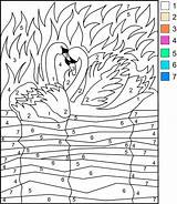Color By Number Coloring Pages  100 Printable Coloring sketch template