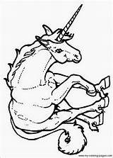 Rearing Unicorn Coloring Page Free Printable Pages sketch template