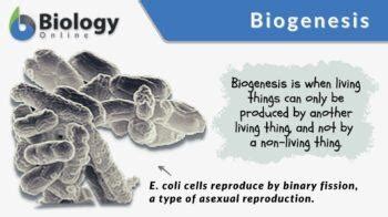 Biogenesis - Definition and Examples - Biology Online Dictionary