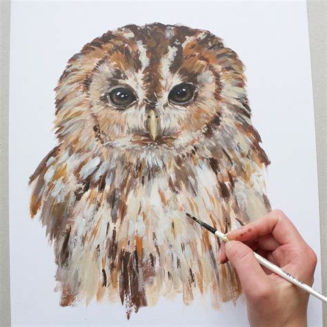 How to Paint an Owl with Acrylics | Hobbycraft