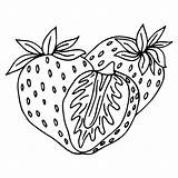 Strawberry Group Of Two Berries Children And Adults coloring Book Page  sketch template