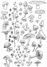 Pinterest sketch template