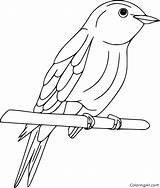 A bird sitting On Top Of Tree Branch coloring Pages For Adults And  sketch template