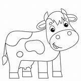 Cow Outline Coloring Page Pages sketch template