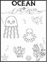 Ocean Coloring Page {FREEBIE}  coloring Pages sketch template