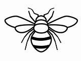 Bee coloring pages  ColoringLib sketch template