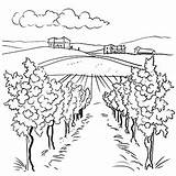 Free Vineyard Coloring Pages – Corner sketch template