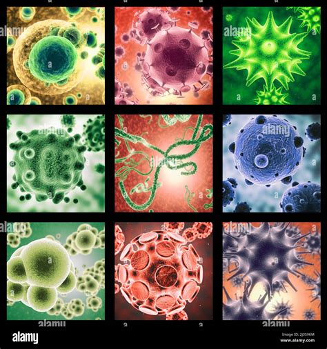 Is your immune system ready. A combined image of various micro organisms as seen under a ...