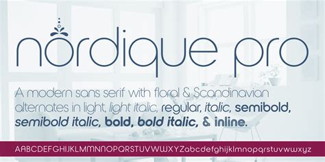 Nordique Pro Cyrillic Collection Font Bundle by Leksen Design | Font Bros