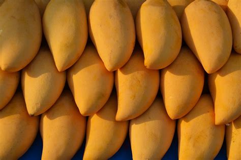 African Mango (irvingia gabonensis) : Bienfaits et vertus | Nature AZ