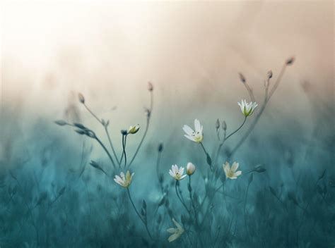 Pastel Nature Wallpapers - Top Free Pastel Nature Backgrounds ...