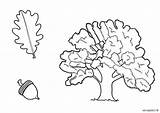 Free Printable Oak Tree Coloring Pages sketch template