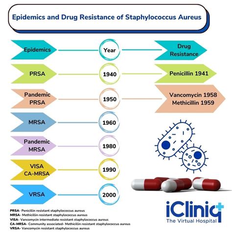 What Are Vancomycin-Resistant Staphylococcal Infections?