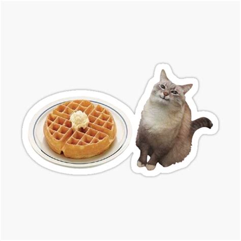 "Grandma Pancake Happy Chubby Cat Meme" Sticker for Sale by DefinitionDump | Redbubble