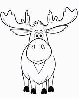 Moose Coloring Pages sketch template