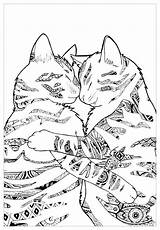 Free cat coloring page To color  Cat Coloring Pages sketch template