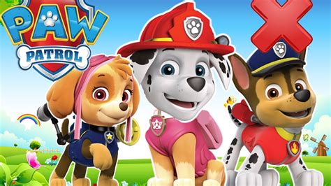 Paw Patrol Academy - full episodes. FUN GAMES for Kids - YouTube