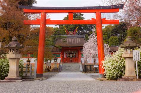 Sakura (桜）Hotspots in Kyoto 2012! | Kyoto, Sakura, Blossom trees