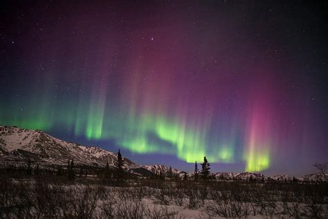 Green And Pink Aurora Borealis Photograph by Carl Johnson | Pixels