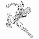 50 Wonderful Spiderman Coloring Pages Your Toddler Will Love  sketch template
