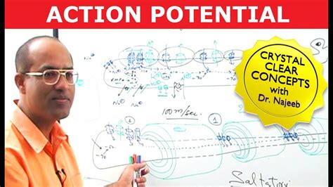 Action Potential in Neurons | Neurology | Dr Najeeb - YouTube