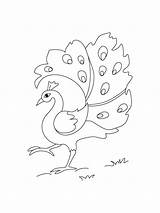 Peacock coloring Page sketch template