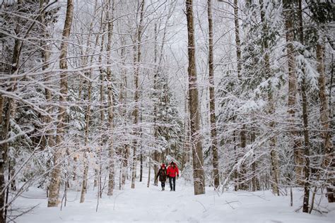 Everything You Need to Survive a Winter Hiking Trip - The Prepper Journal