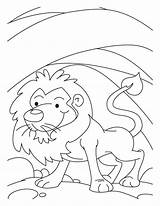 Lion den clipart black And White 560804 sketch template