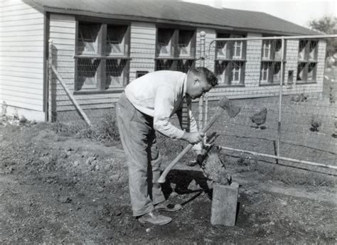 Man Butchering Chicken | Photograph | Wisconsin Historical Society