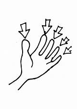 Foam Finger Coloring Page Pages sketch template