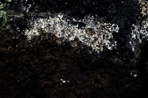 Free photo: White Rock Texture - Black, Dark, Grunge - Free Download - Jooinn