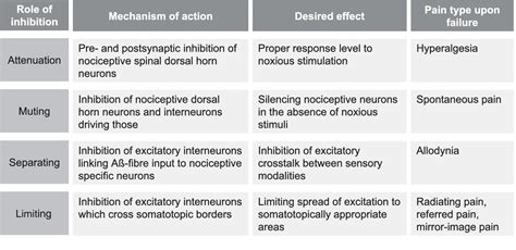 Figure 4 from Models and mechanisms of hyperalgesia and allodynia. | Semantic Scholar