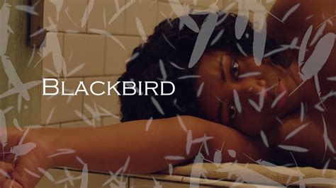 Blackbird Trailer - YouTube