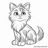 Maine Coon Cat Coloring Pages  Free & Printable sketch template