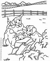 Dog Coloring Pages  Printable Farm hound dogs coloring Page Sheet And sketch template