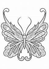Butterfly Coloring Pages For Adults  Best Kids sketch template