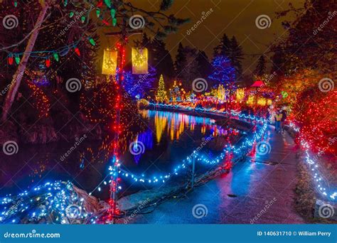 Christmas Lights Reflection Van Dusen Garden Vancouver British Columbia Canada Stock Photo ...