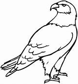 Free Printable Eagle Coloring Pages For Kids sketch template