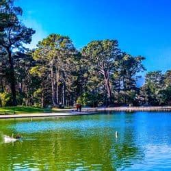 Discover the Beautiful Lakes Near You!