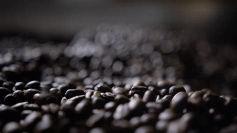 Dynamic Coffee Beans Falling Slow Motion Stock Footage SBV-347541971 ...