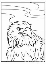 Eagle Coloring Page For Kids sketch template