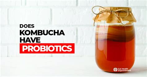 Does Kombucha Have Probiotics? (Good For Gut Health?)