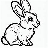 Adorable Rabbit coloring Page  Download Print Or Color Online For Free sketch template