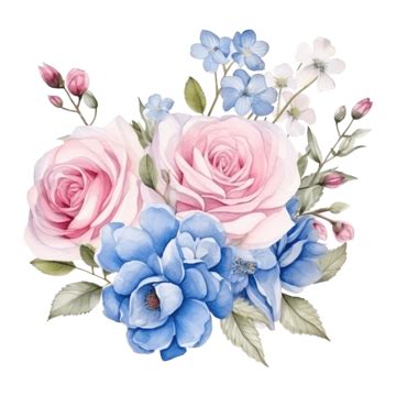 Watercolor Beautiful Pink And White Rose Ranunculus And Blue Plumbago ...