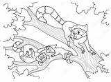 20  Lemur Coloring Pages Free Printable PDF & Online sketch template