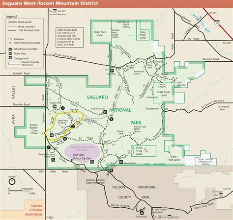 Saguaro National Park Visitor Guide - Wanderlust Travel & Photos