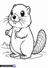 Groundhog Colouring Page  Free Printable coloring Pages sketch template
